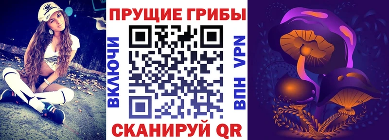 Галлюциногенные грибы Psilocybine cubensis где купить наркотик Кедровый